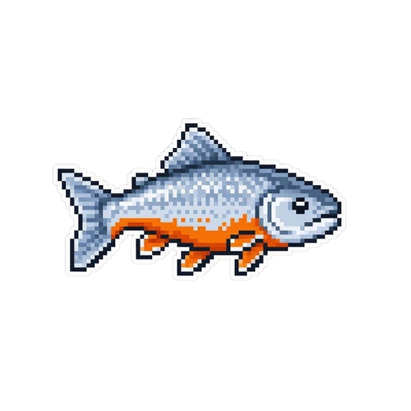 Arctic Char