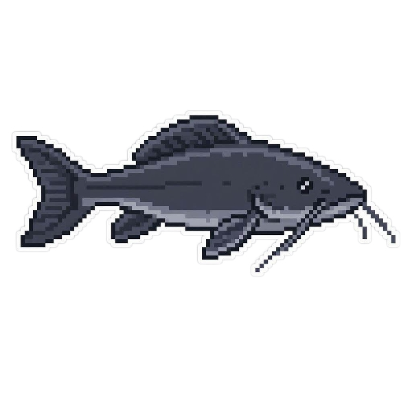 Channel Catfish