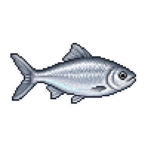 Common Shiner