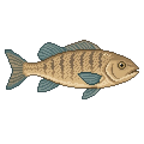 Duststripe Perch