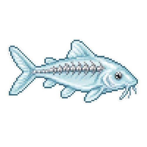 Glass Catfish