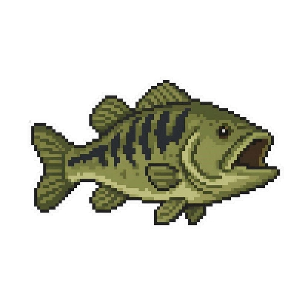 Largemouth Bass