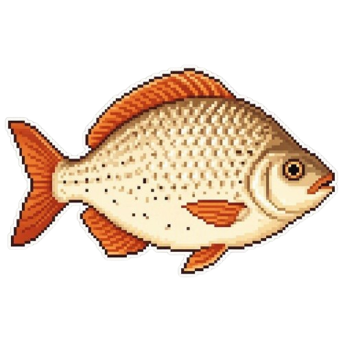 Maplefin Bream