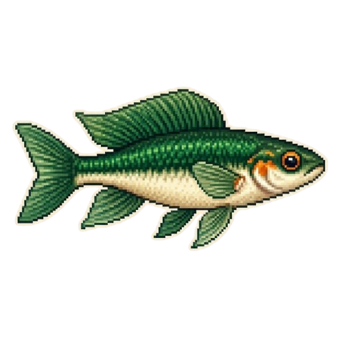 Mosscrest Killifish