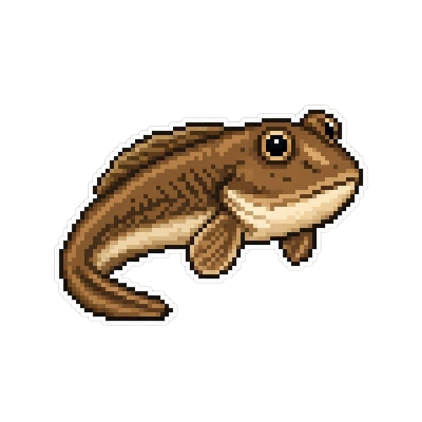Mudskipper