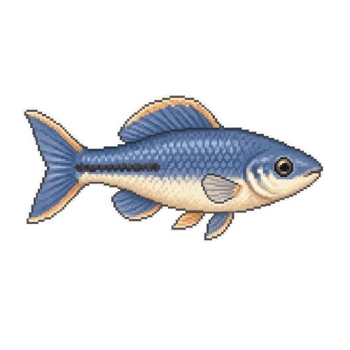 Puddlefin Killifish
