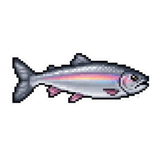 Rainbow Trout