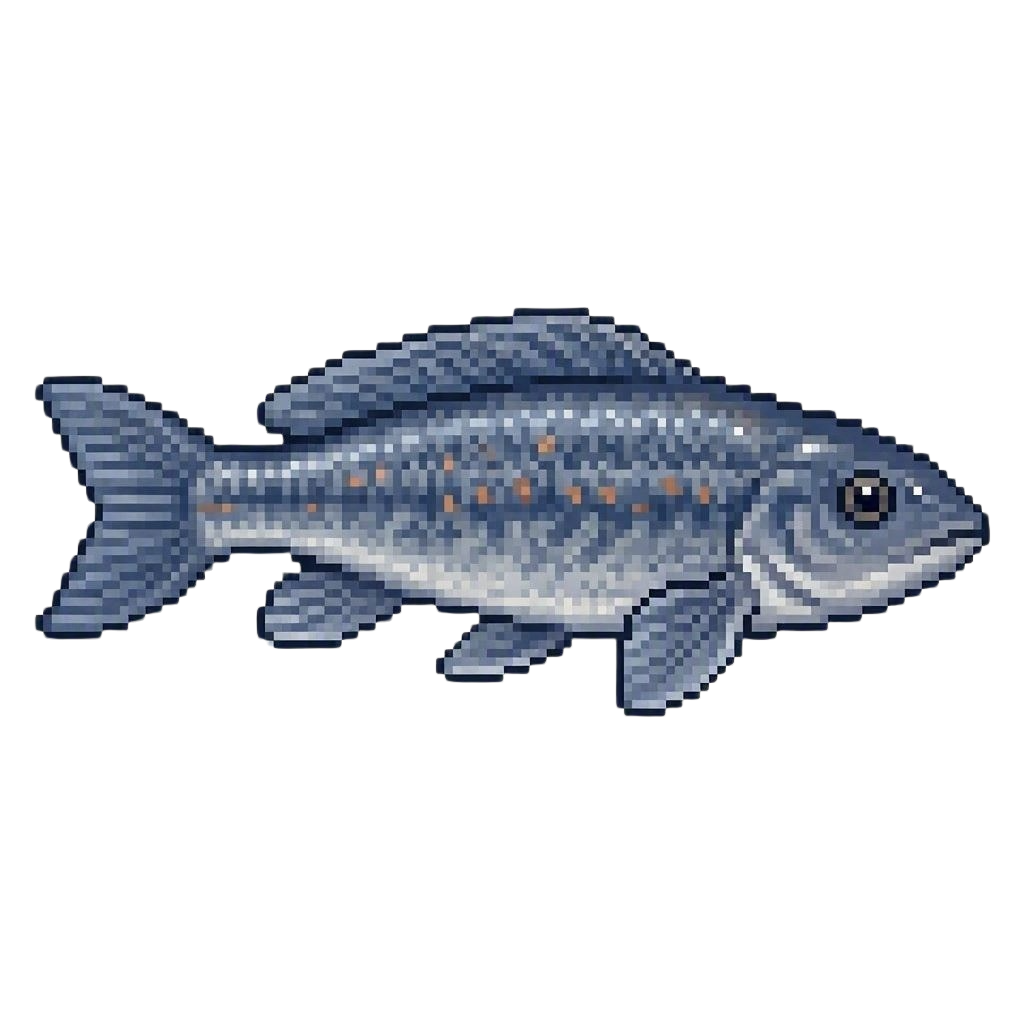 Rainpool Gudgeon
