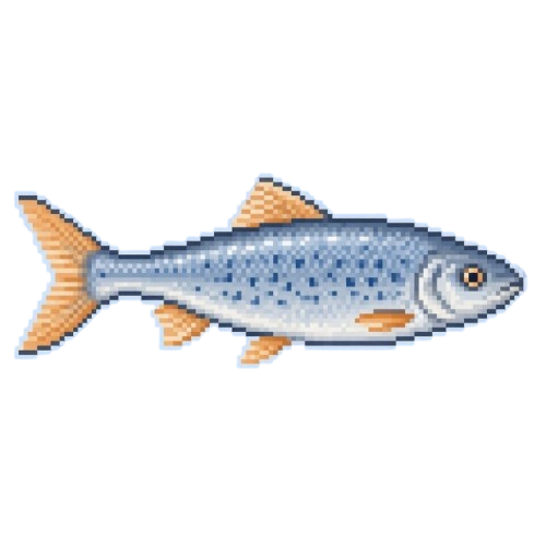 Rainspot Dace