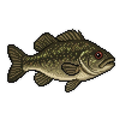 Rock Bass