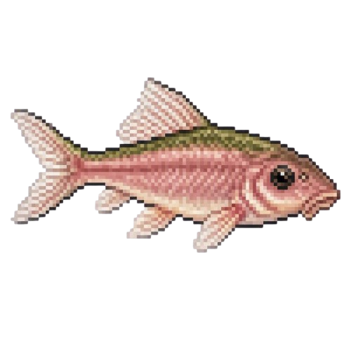 Rosewater Gar