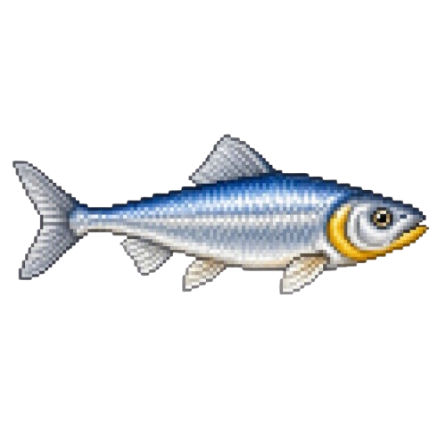 Saffron Shad