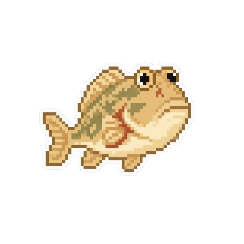 Stargazer Fish