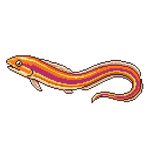 Sunset Ribbonfish